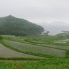 日本・棚田100景その１の画像
