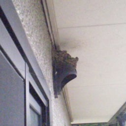 mamakoの気まぐれ日記