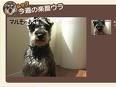 マルモのおきて ムック 声優の正体は Tvドラマ最新情報 表も裏も