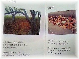 星野美咲　ひとことポエム集　～ムーンライト　セレナーデ～-サンプルページ