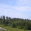 久しぶりの外の画像