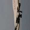 6/6関空のお目当ての画像