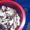 300円。の画像