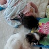 やっと…の画像