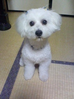 photo:01