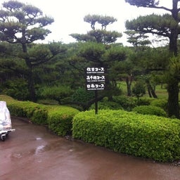 photo:01