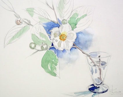 水彩画で白い花を描く 夏椿 大阪 泉州発 水彩画 工作を楽しむ方法