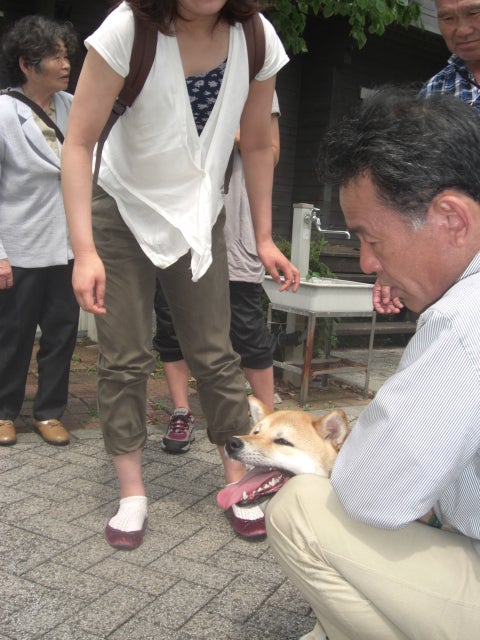 長崎の保健所の命を救う会の代表のブログ　長崎県の動物愛護団体です 犬と猫の里親譲渡会を毎月開催-3か月ぶりの感動の再会。