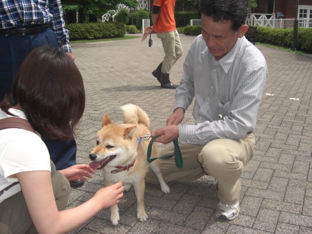 長崎の保健所の命を救う会の代表のブログ　長崎県の動物愛護団体です 犬と猫の里親譲渡会を毎月開催