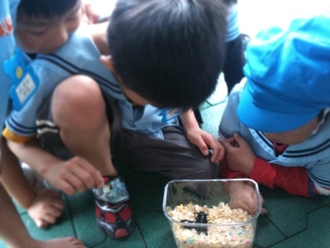 photo:05