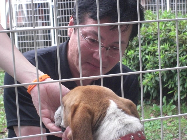 長崎の保健所の命を救う会の代表のブログ　長崎県の動物愛護団体です 犬と猫の里親譲渡会を毎月開催-感動の再会　トム君。