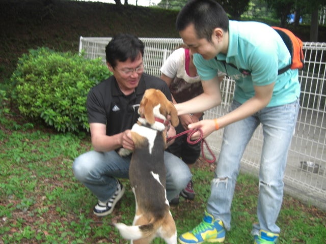 長崎の保健所の命を救う会の代表のブログ　長崎県の動物愛護団体です 犬と猫の里親譲渡会を毎月開催-感動の再会　トム君。