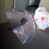 あめの画像