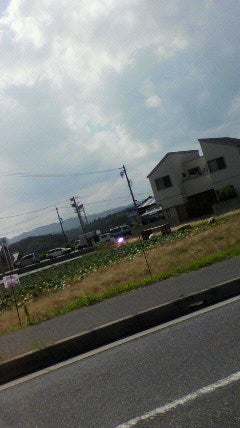 なぜか。の記事画像