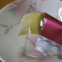 ブログ投稿画像