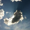 久方の画像