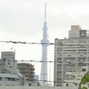 帰りの画像