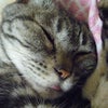 My sweet Angel☆の画像