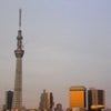 スカイツリー*の画像