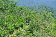 白神山地ツアーで能代山本地区の活性化すっぺ-2011年7月の白神山地・藤里駒ケ岳7