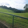 有酸素運動♪の画像