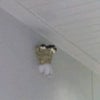 まだ早かったかの画像