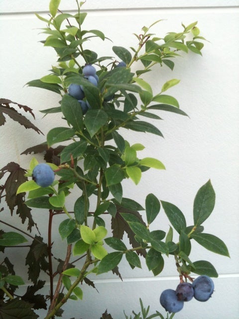 photo:03