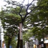 がんばってきました！！の画像