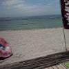 ♪来た～夏だ～♪の画像