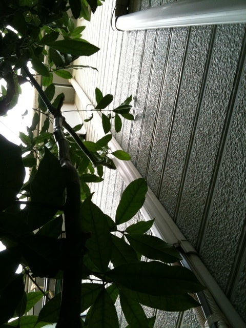 photo:01