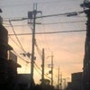 真夜中のAvrilの画像