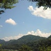腰が痛いんですけど、何ででしょうね・・・の画像