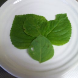 mamakoの気まぐれ日記