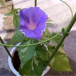 photo:05