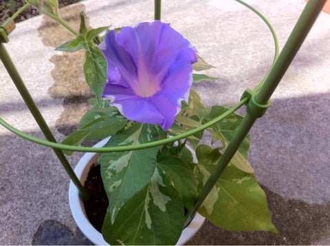 photo:05