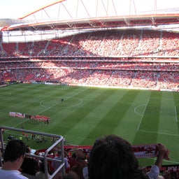 estadio da luz5
