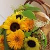 夏のお花と言えば…の画像