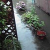新潟・福島の豪雨。の画像