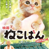 ブログ投稿画像