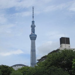 古川のblog 「RE-BORN」-arvore de ceu de toquio