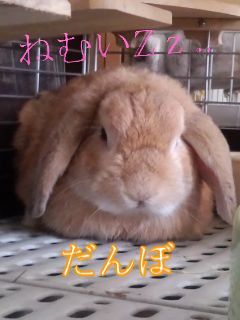 ☆初登場☆の記事画像