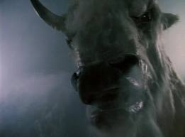 ○ホワイトバッファロー ～走り来る白い巨大野牛！～ | パイルＤ-３の 