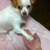 どや顏の画像