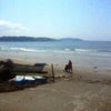ウェイクボード　in 由比ヶ浜の画像