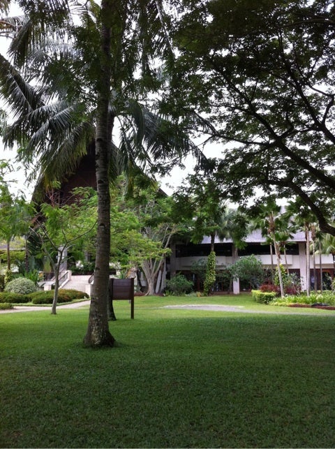 photo:01