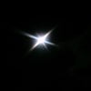 今宵の月は明るくの画像