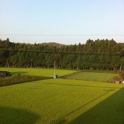 photo:01