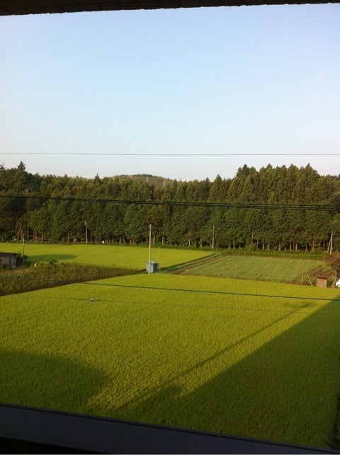 photo:01