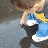 水溜まり♪の画像