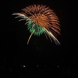 ☆o○*サ～ラ*o○☆ﾟの写真日記-138